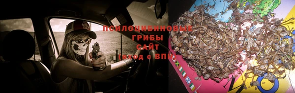 MESCALINE Бородино